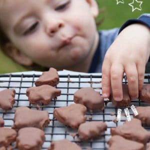 Chocolate Cookies – Refined Sugar Free, Gluten Free, Egg Free