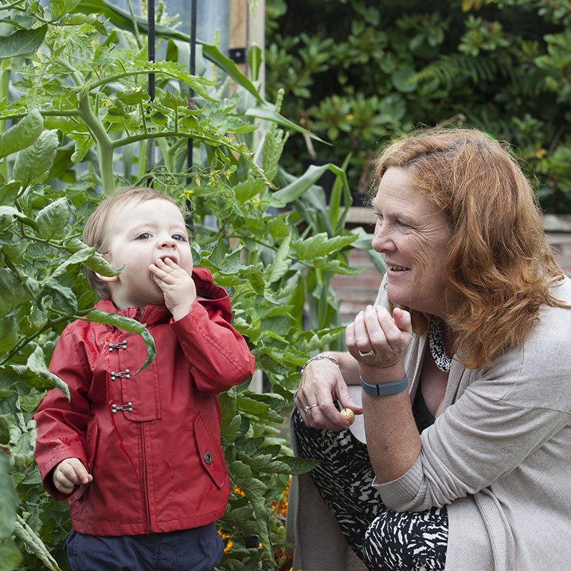 Baby Led Feeding Picking Vegetables in Granny and Grandads garden