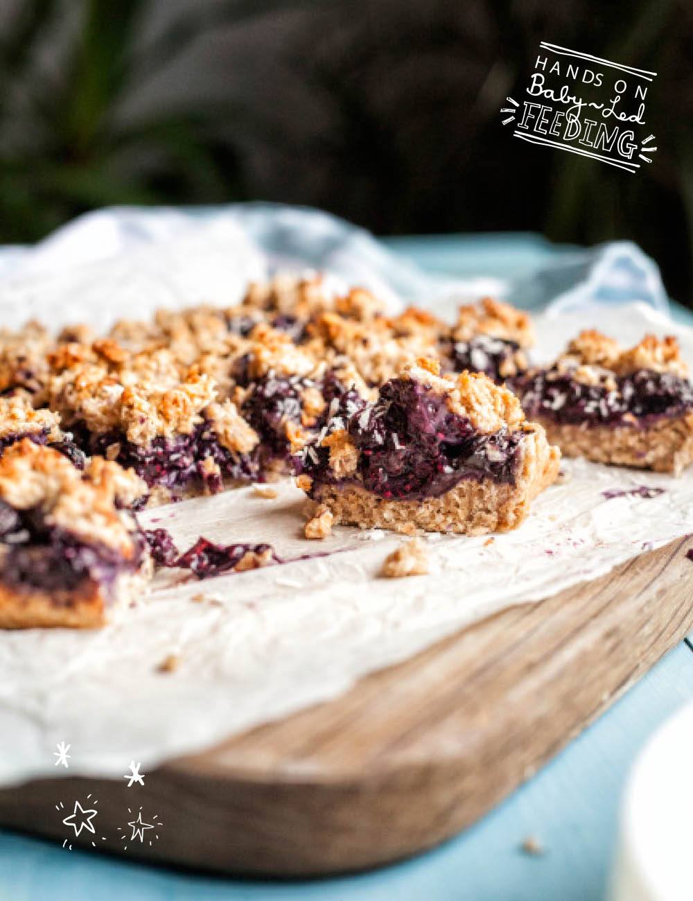 Baby Led Feeding Blueberry and Coconut Oat Bars Zoomed in Image of food. Aileen Cox Blundell Homemade Healthy baby food. Delicious baby led weaning recipe