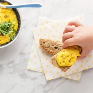 Baby Friendly Curried Hummus