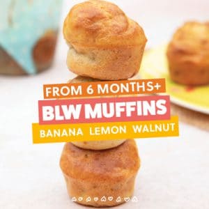 Sugar Free BLW Muffins Banana Lemon and Walnut