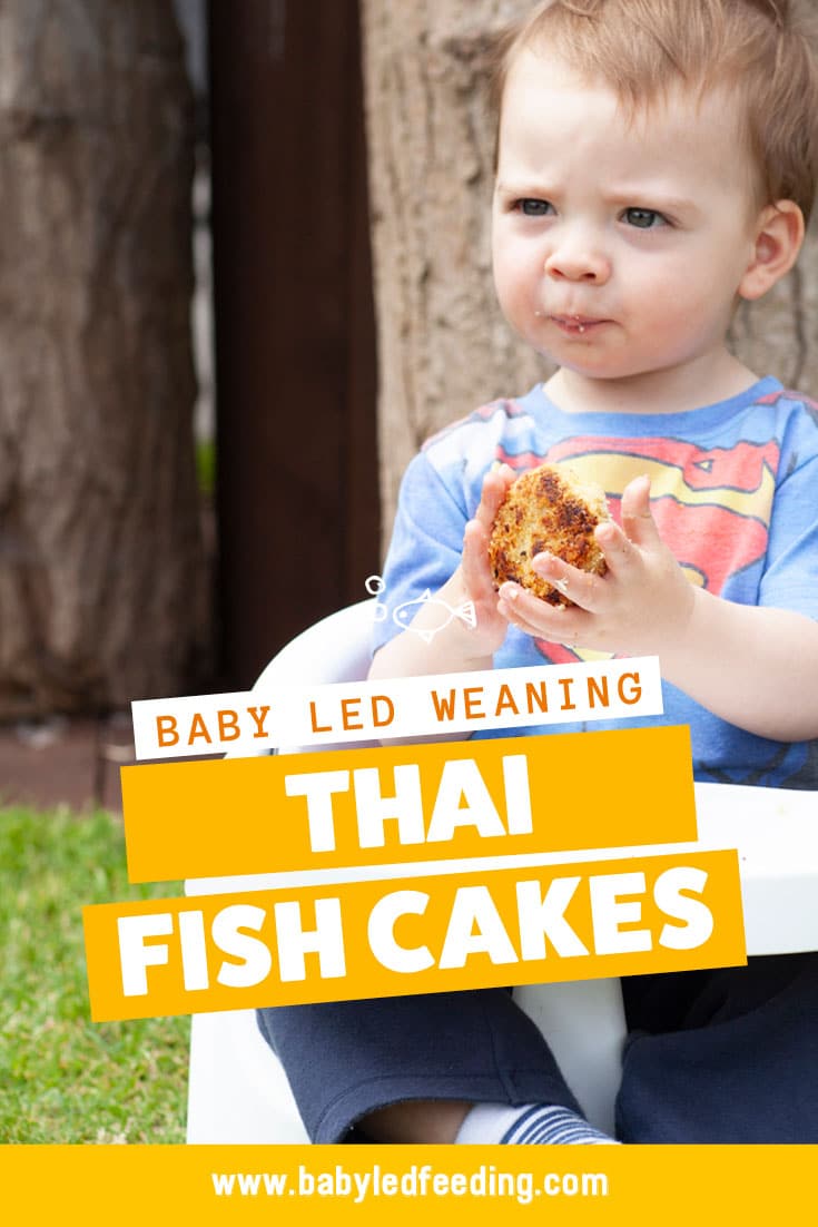 Pinterest Image Yummy baby led weaning fish cakes. This finger food for babies is a great way of getting your baby to eat fish! 