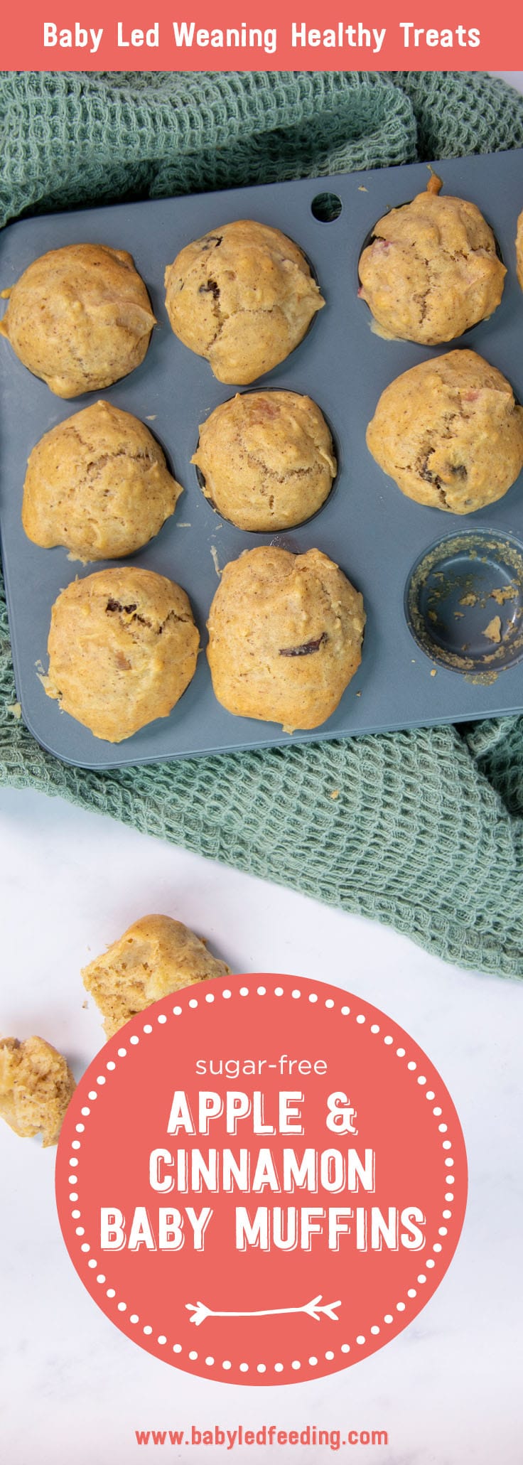 Healthy sugar free mini muffins for baby led weaning breakfast! Loaded with sweet fiber rich apples and plump raisins with a hint of cinnamon, this easy healthy finger food is sure to win over even the most picky toddlers and babies! #minimuffins #babyledweaning #babyledfeeding #breakfast #sugarfree