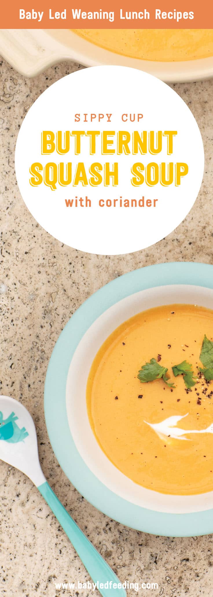 Baby Led Feeding Pinterest Butternut Squash Curried Soup