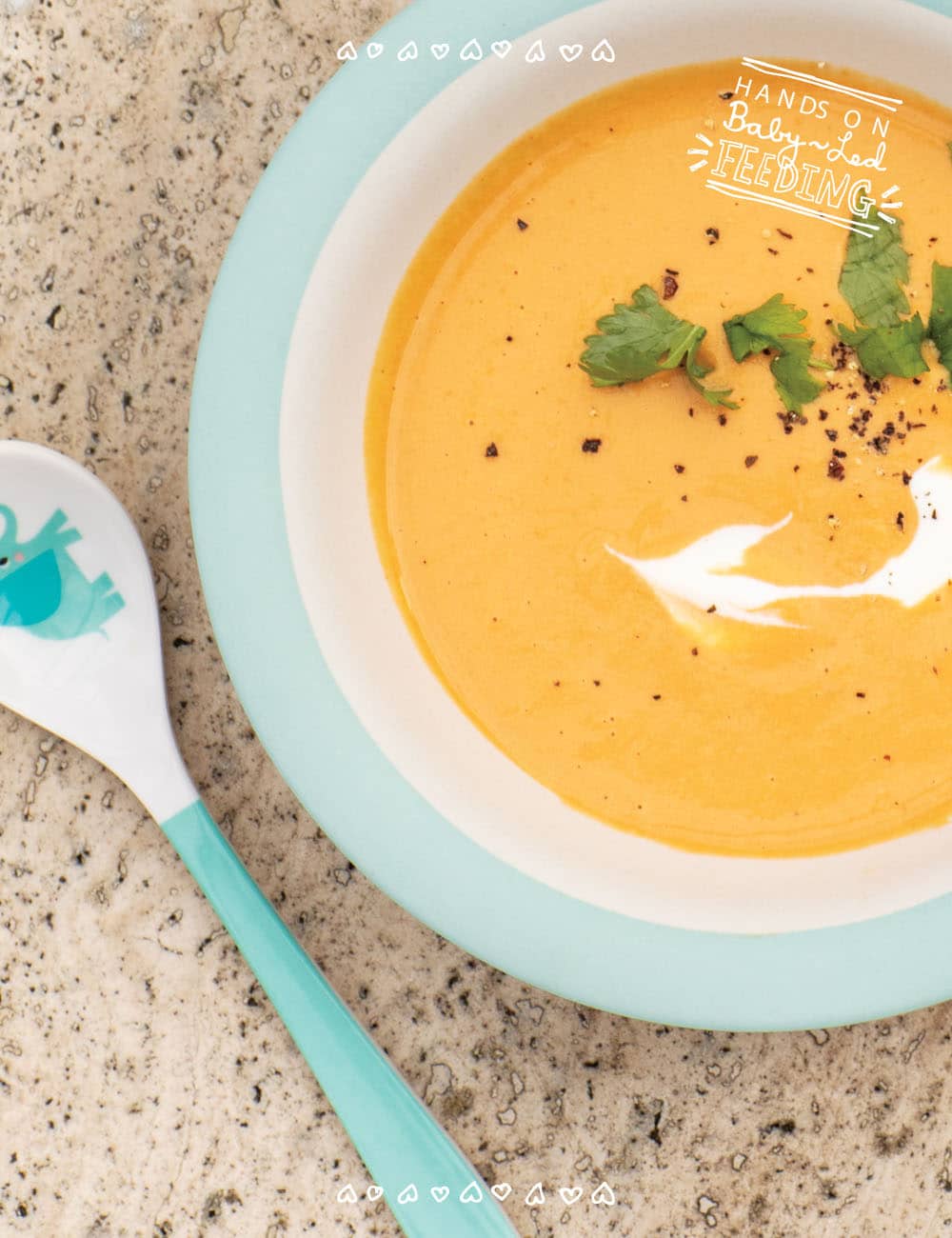 Baby Led Feeding Recipe Curried Butternut Squash Soup 2