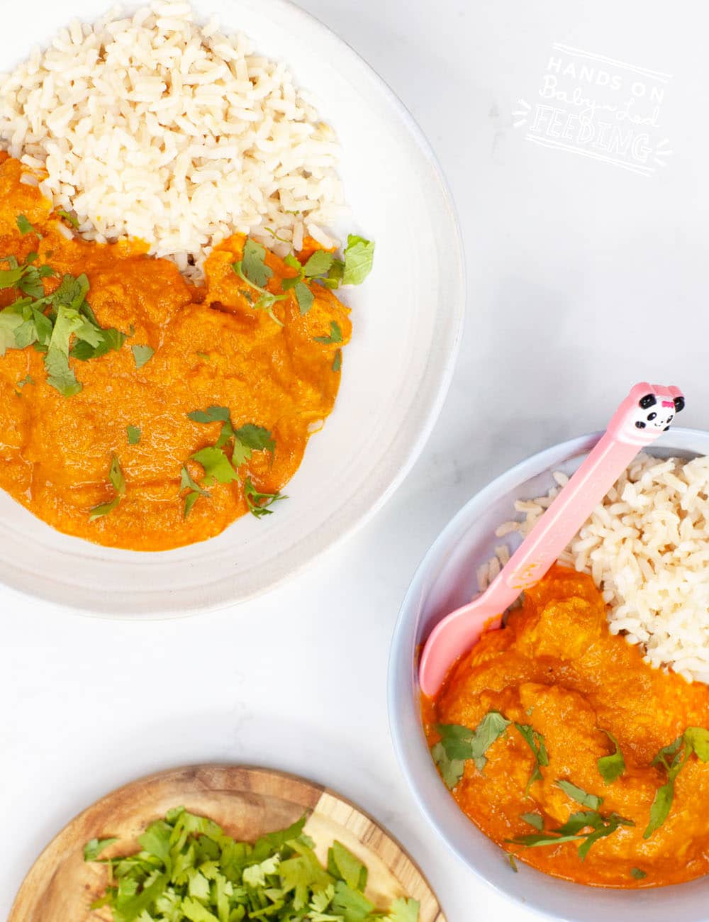 Easy chicken korma with Greek yogurt and coconut milk. A flavorful baby led weaning dinner seasoned with cinnamon, cumin, turmeric, and coriander. #indianfood #babyledweaning #chickenrecipe
