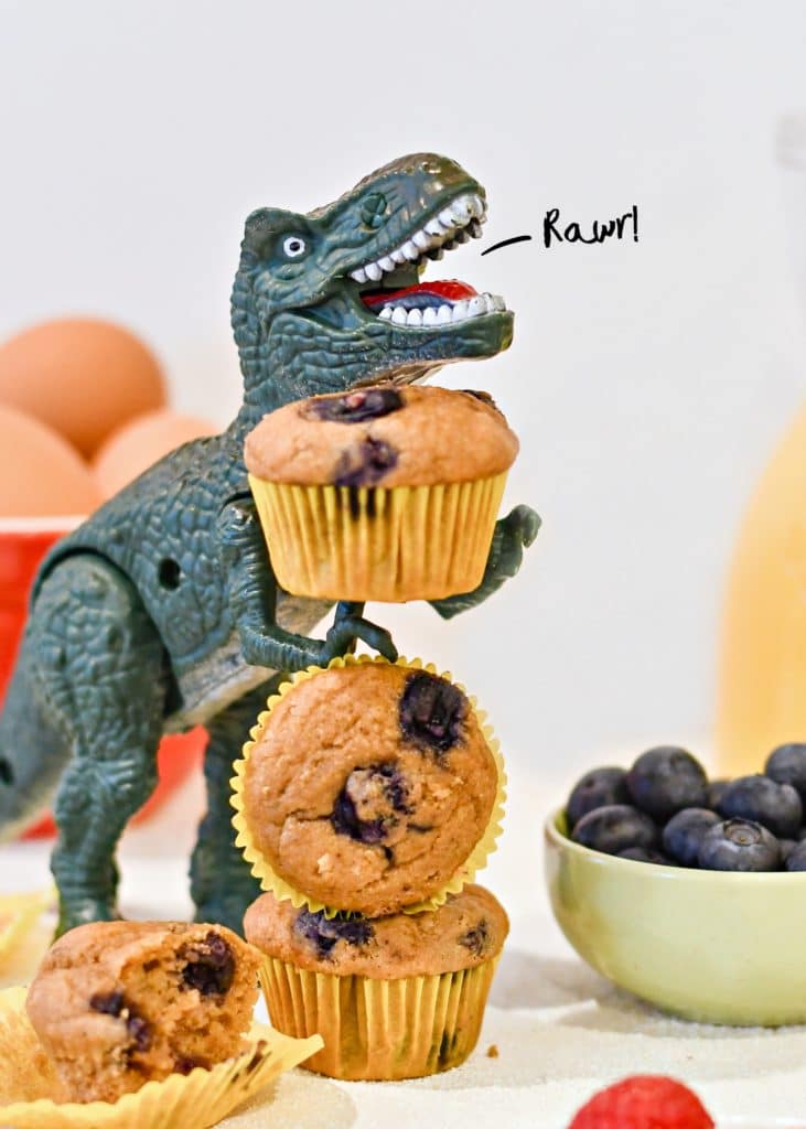 Mini-Blueberry-Muffins-a-731×1024