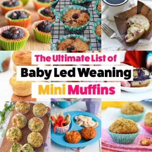 Ultimate List of Baby Led Weaning Mini Muffins