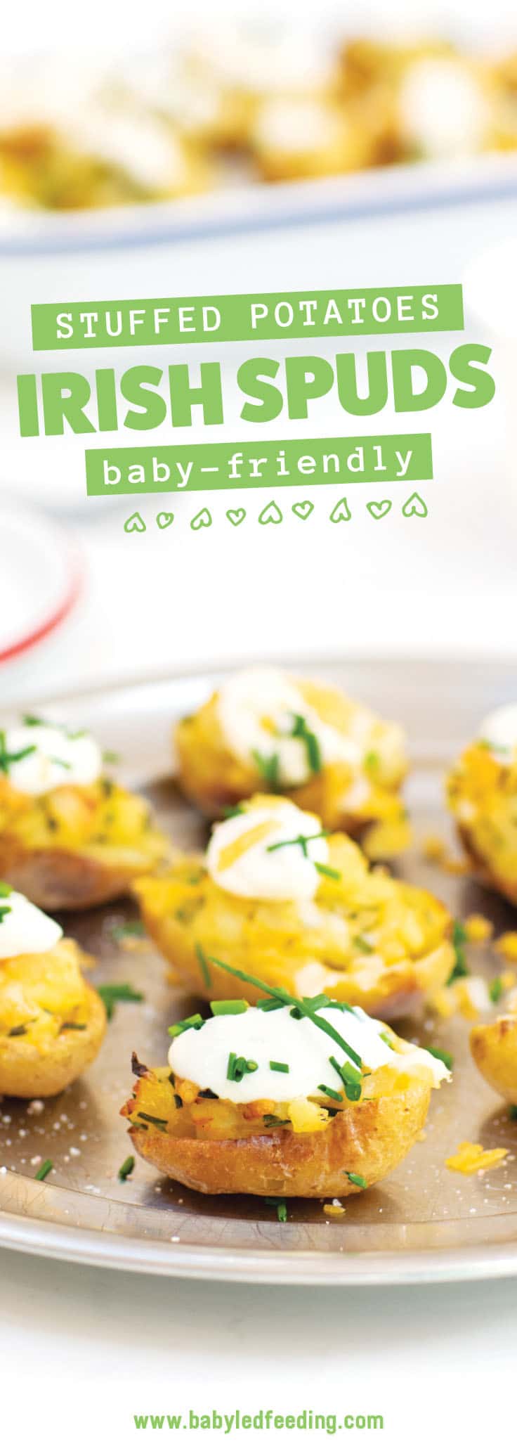 Baby Irish potato bites are an easy appetizer recipe for St. Patrick's Day! Bite sized baby potatoes loaded with a yummy filling topped with a dollop of sour cream or Greek yogurt. #babyledweaning #fingerfood #saintpatricksday #potatoes