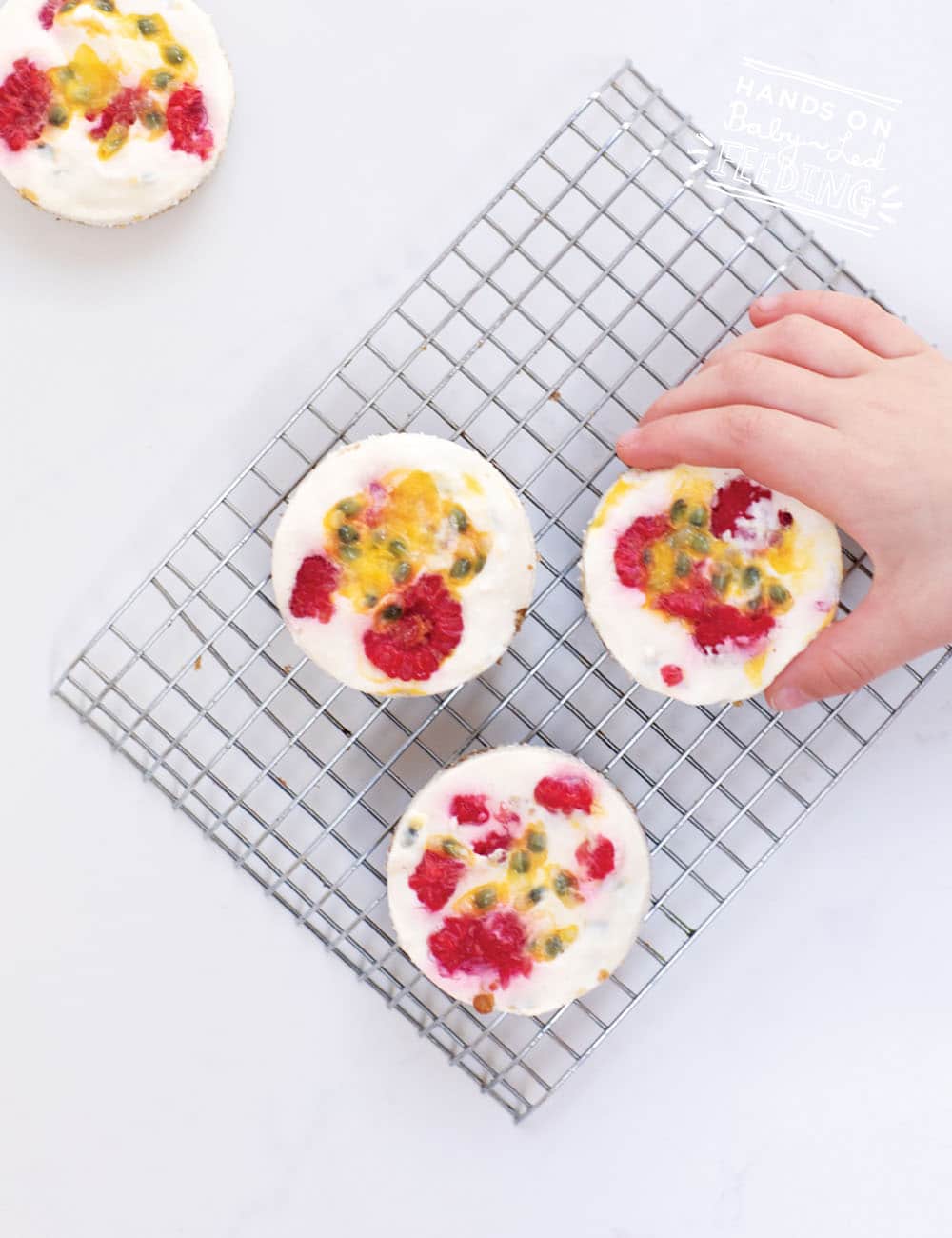 Refined Sugar Free Passion Fruit Mini Cheesecakes. A unique base made with oats, sunflower and pumpkin seeds give this delightful little finger food an extra boost of protein. Make ahead and freeze for an easy party snack or sweet treat. #babyledfeeding #babyledweaning #cheesecake