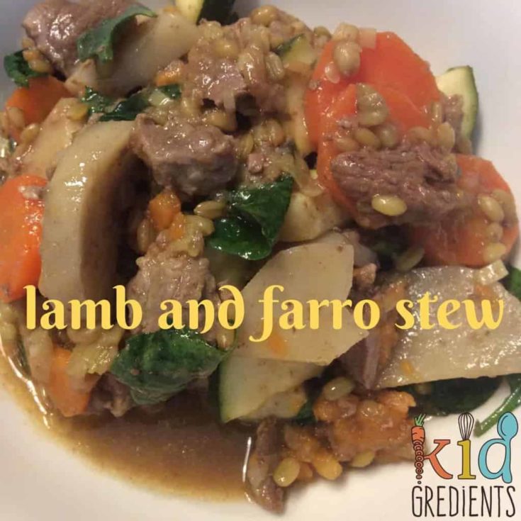 lamb and farro stew