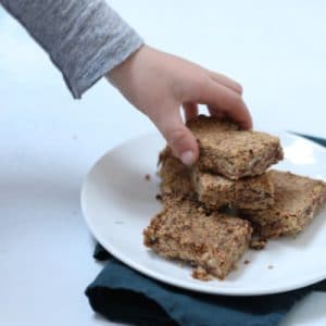 Baby Friendly Oat and Fruit Bars