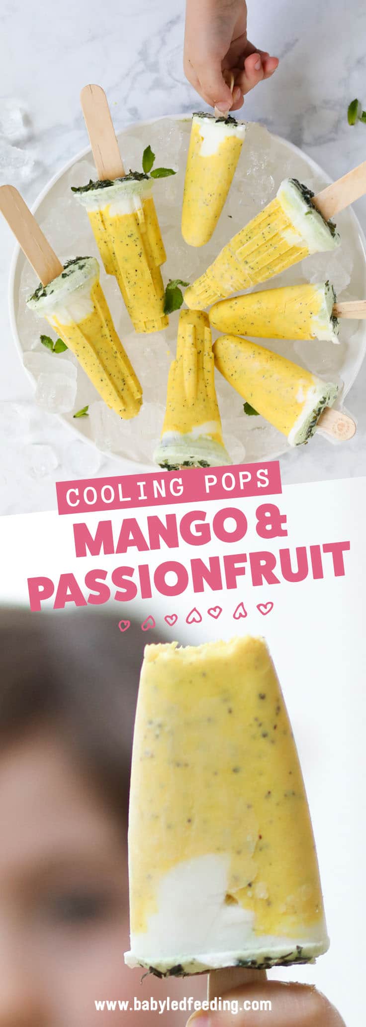 Juicy Mango and Sweet Tropical Passion Fruit flavour these delicious tropical ice pops. No added sugar / refined sugar free made with only natural ingredients. This Popsicle recipe is perfect for teething babies and kids on hot summer days. They also make a great addition to summer parties, birthday parties, and gatherings. #icepops #popscicle #teething #partyfood #mango #passionfruit #babyledfeeding #babyledweaning