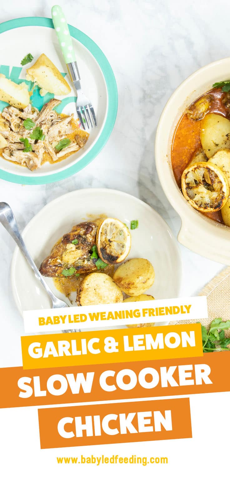 Baby Led Weaning Slow Cooker Chicken with Lemon & Garlic. Easy and healthy baby food for BLW crockpot recipe. Make ahead and feed the entire family! Dairy free and egg free. #babyledweaning #dairyfree #eggfree #slowcookerrecipe