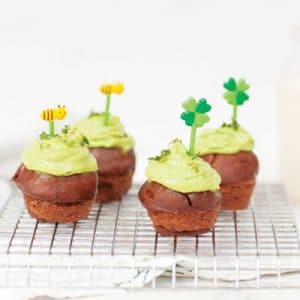 Mini Muffin Baby Brownies Bites with Green Frosting