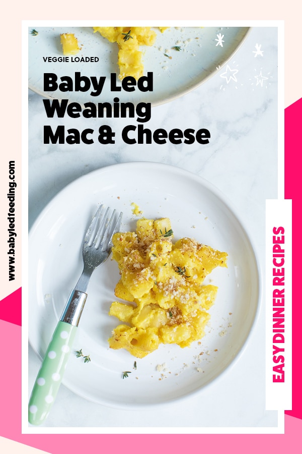 Cauliflower Mac & Cheese is a super healthy hidden veggie recipe that kids love! This healthy mac and cheese uses traditional pasta shells and cheese, the secret is in the sauce! #macandcheese #cauliflower #healthyrecipe #babyledfeeding #babyledweaning #babyfood #pickyeaters #healthydinner