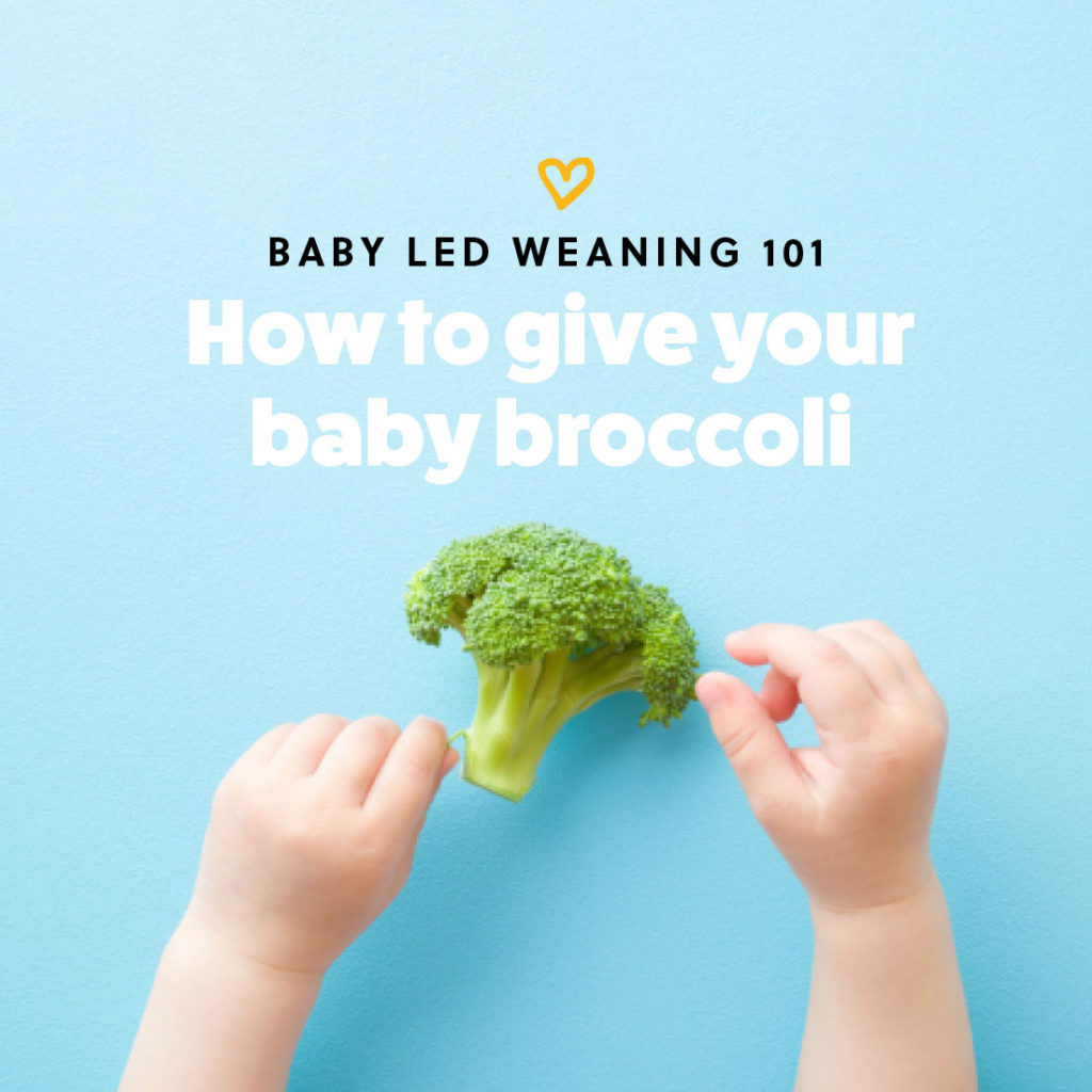 How to give your baby broccoli as a first food for baby led weaning
