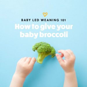 How do I give my baby Broccoli as a first food for baby-led weaning