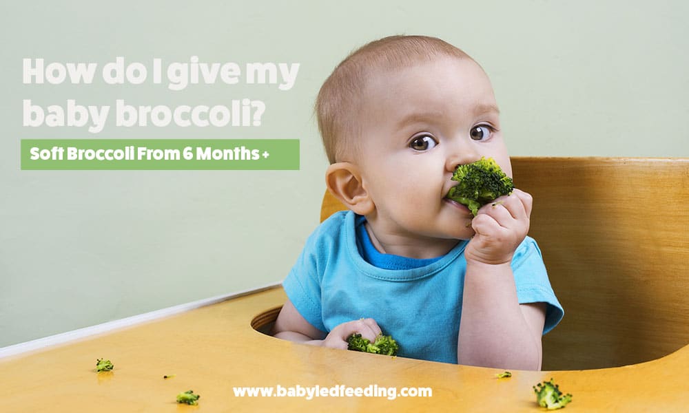 Why Broccoli Is One Of The Best First Foods For Baby Led Weaning Baby