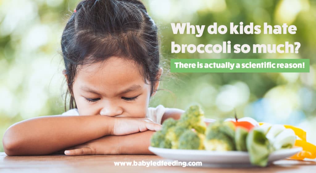 Why do kids hate broccoli so much? There is an actual scientific reason!