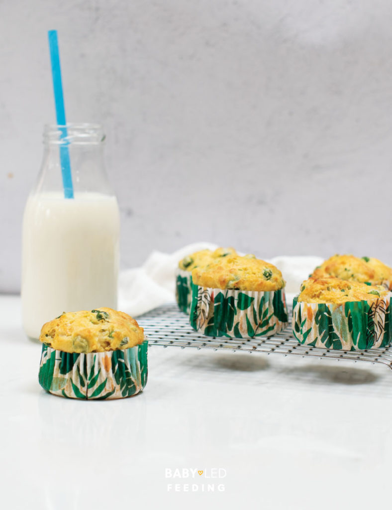 Baby Led weaning Vegetable Savory Muffins.