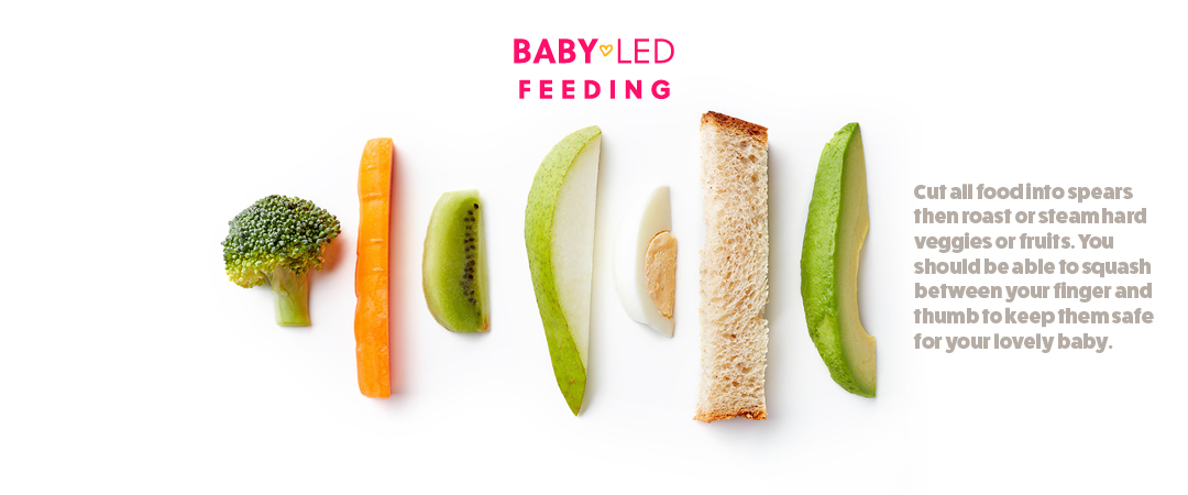 How to Start Baby-Led Weaning + First Foods - Eating Bird Food