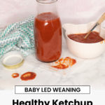 Healthy Ketchup Recipe for Kids