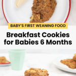 Baby Led Weaning Breakfast Cookie Recipe