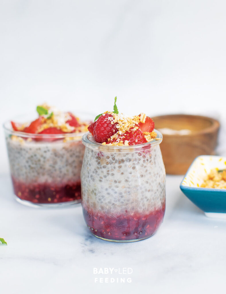 How to give your Baby Chia - Chia Pudding