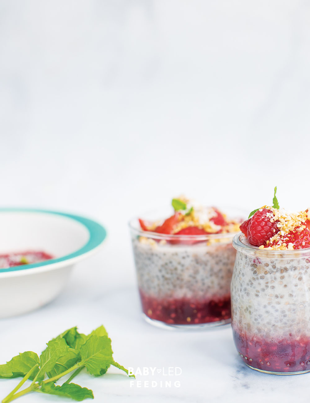 How to give your Baby Chia - Chia Pudding2