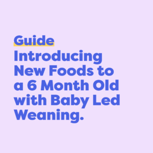 Guide to Introducing New Foods to 6-Month-Old Baby